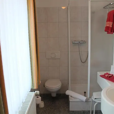 Garni-hotel Alt Wernigeroder Hof 3*