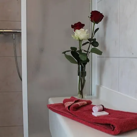 Garni-hotel Alt Wernigeroeder Hof 酒店 3*